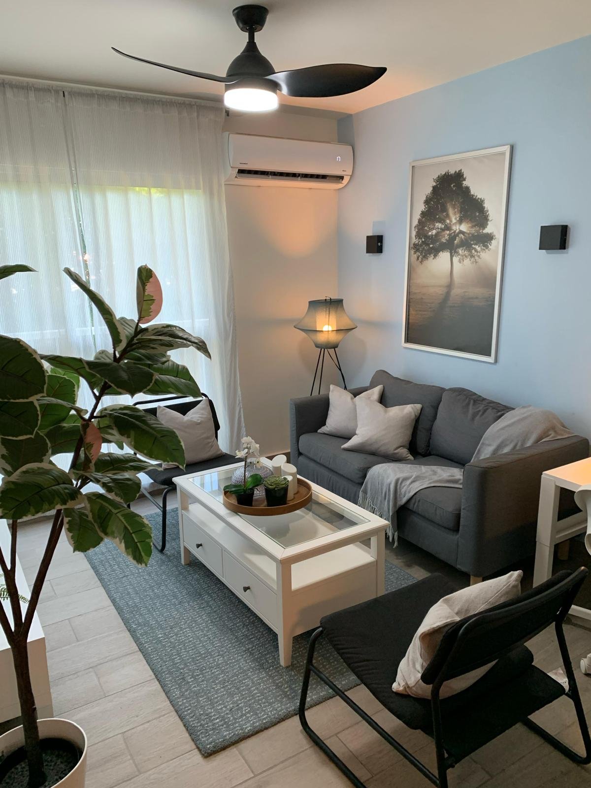 WhatsApp Image 2026-02-17 at 5.28.15 PM (3)